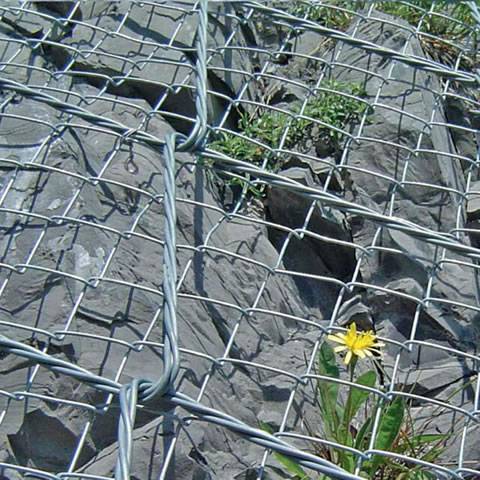 Spider spiral rope mesh is covering the mountain and a flower grow between the gap